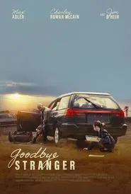 Goodbye Stranger movie poster