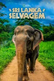 Poster da série Sri Lanka Selvagem