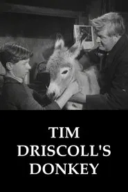 Tim Driscoll's Donkey movie poster