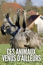 Poster da série Ces animaux venus d'ailleurs