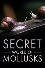 Secret World of Mollusks movie poster