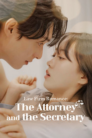 Law Firm Romance: The Attorney and the Secretary tv show poster