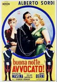 Poster do filme Good night… lawyer!