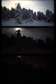 winter (bäume leuchten) movie poster