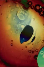 A Peculiar Week in My Dream Journal May 1973 movie poster