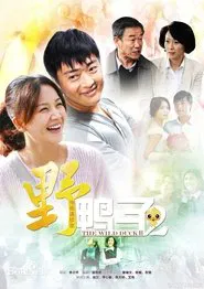 野鸭子 tv show poster