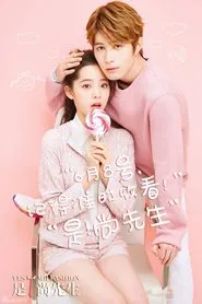 Yes! Mr. Fashion tv show poster