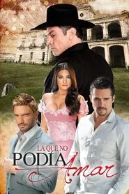 The One Who Couldn't Love tv show poster