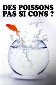 Des poissons, pas si cons ? movie poster