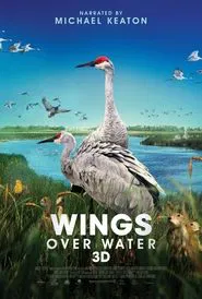 Poster do filme Wings Over Water