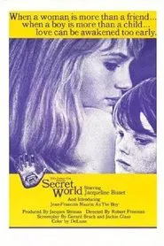 Secret World movie poster