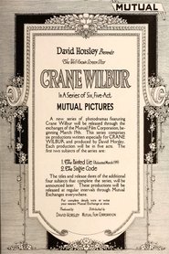 Poster do filme The Painted Lie