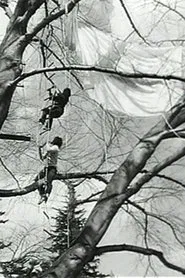 Tree Dance movie poster