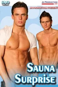 Sauna Surprise movie poster