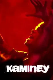 Kaminey movie poster