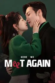 Here We Meet Again tv show poster