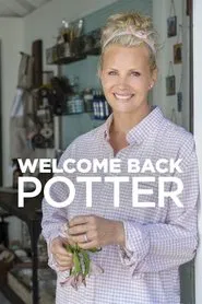 Welcome Back Potter tv show poster