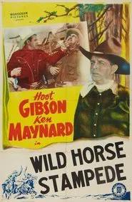 Poster do filme Wild Horse Stampede