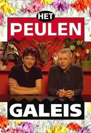 Het Peulengaleis tv show poster