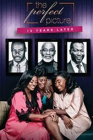The Perfect Picture: Ten Years Later movie poster