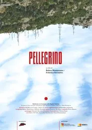 Poster do filme Pellegrino