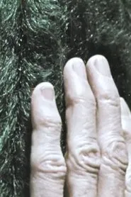 Discovering Texture movie poster