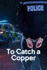 To Catch a Copper tv show poster