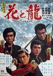 Poster do filme Flower and Dragon