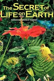 The Secret of Life on Earth movie poster