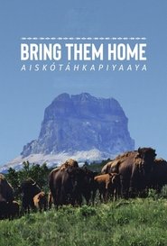 Bring Them Home movie poster
