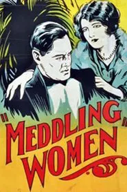 Poster do filme Meddling Women
