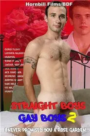 Poster do filme Straight Boys Gay Boys 2: I Never Promised You a Rose Garden