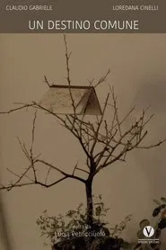 Un destino comune movie poster