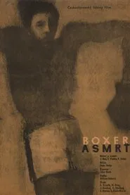 The Boxer and Death movie poster