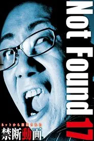 Not Found 17 movie poster