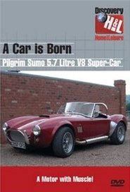 Poster da série A Car is Born
