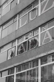 Luz trenzada movie poster