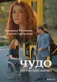 Miracle on Schedule movie poster
