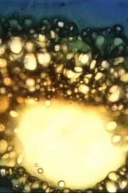 Aerodynamics of the Black Sun movie poster
