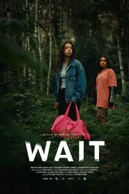 Wait movie poster