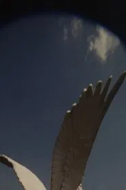 Poster do filme The House, The True One and The One That Follows, Is Yet to be Built