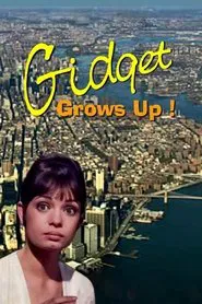 Poster do filme Gidget Grows Up