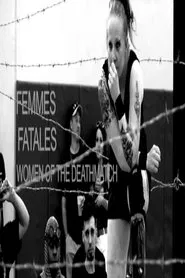 Femmes Fatales: Women of The Deathmatch movie poster