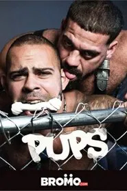 Poster do filme Pups