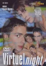 Poster do filme Virtual Night