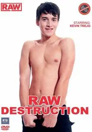 Raw Destruction movie poster