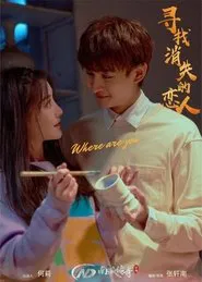 寻找消失的恋人 movie poster