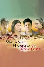 Never Ending Goodbye tv show poster