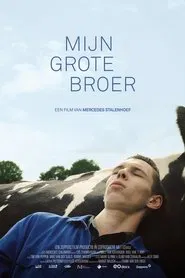 Mijn grote broer movie poster