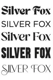Silver Fox movie poster